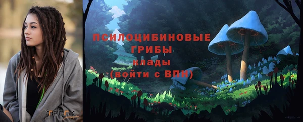 2c-b Алексеевка
